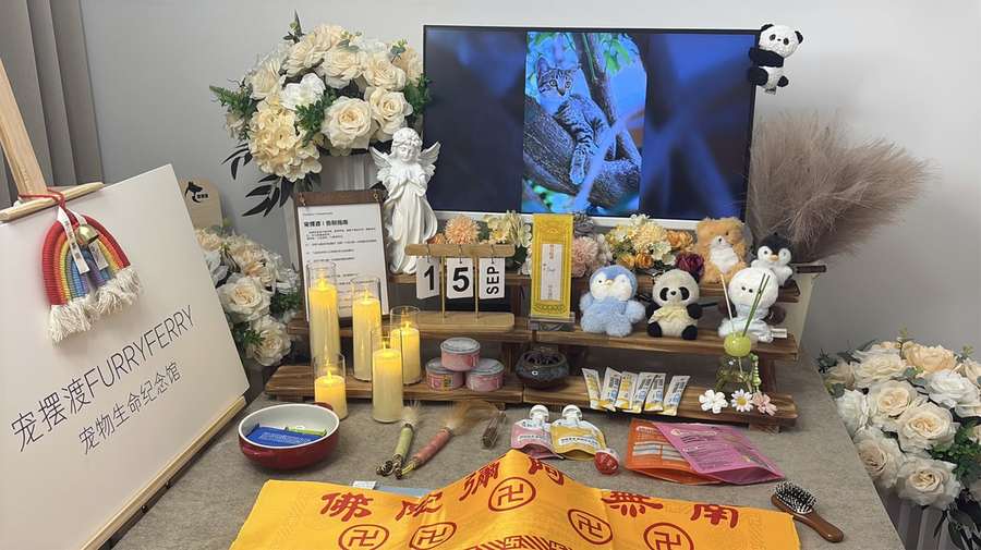 哈尔滨宠物告别厅