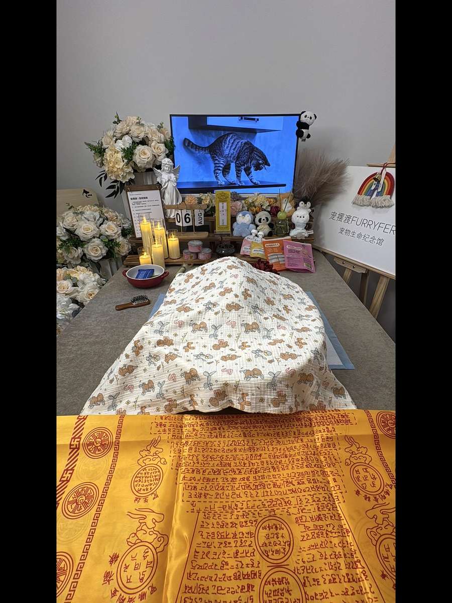 宠物告别仪式